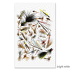 Collective Fishing Flies grand format