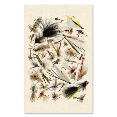 Collective Fishing Flies grand format