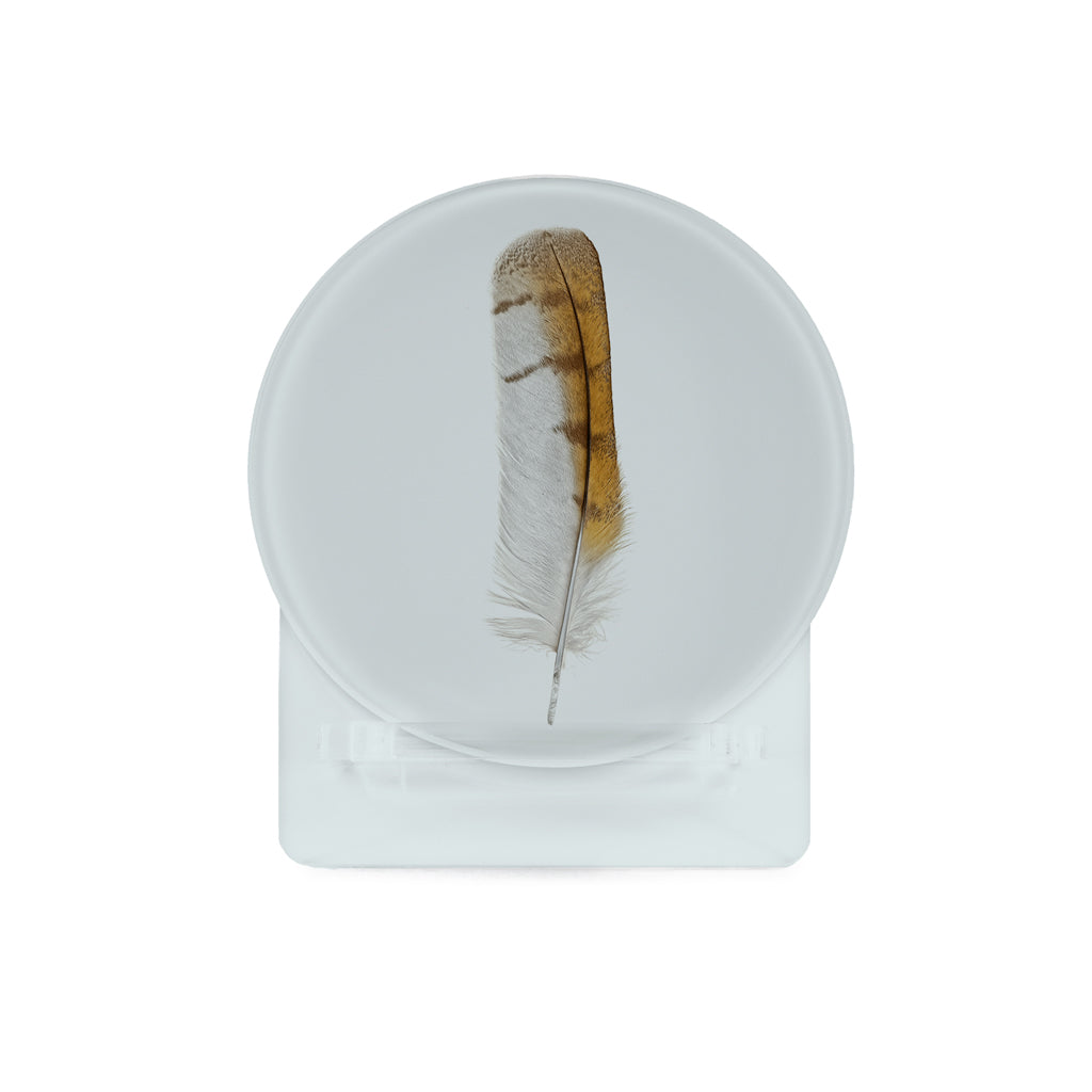 Glass Coasters (set of 4) - Colored Feathers