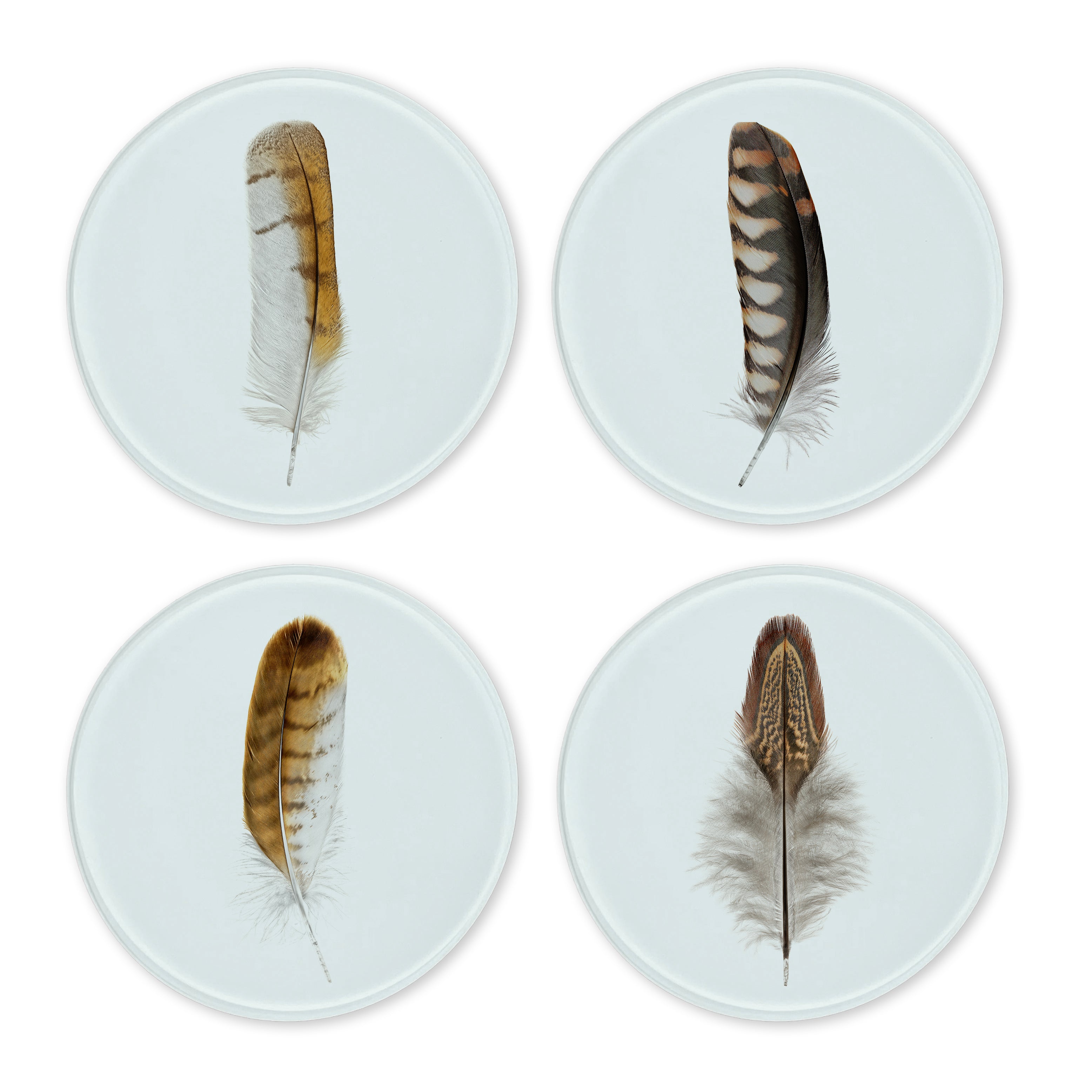 Glass Coasters (set of 4) - Colored Feathers
