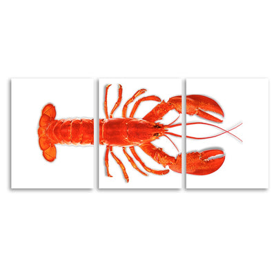 Maine Lobster (Red)