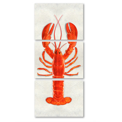 Maine Lobster (Red)