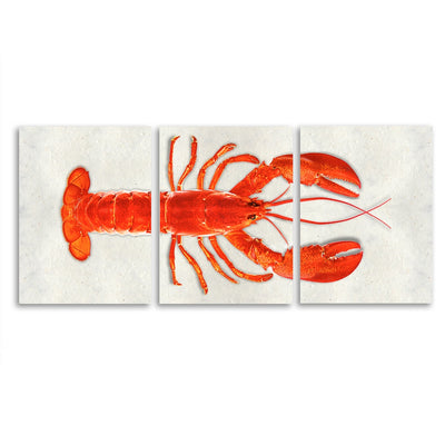 Maine Lobster (Red)