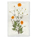 Cosmos floral wall art print — fine art botanical photography on handmade paper, San Francisco