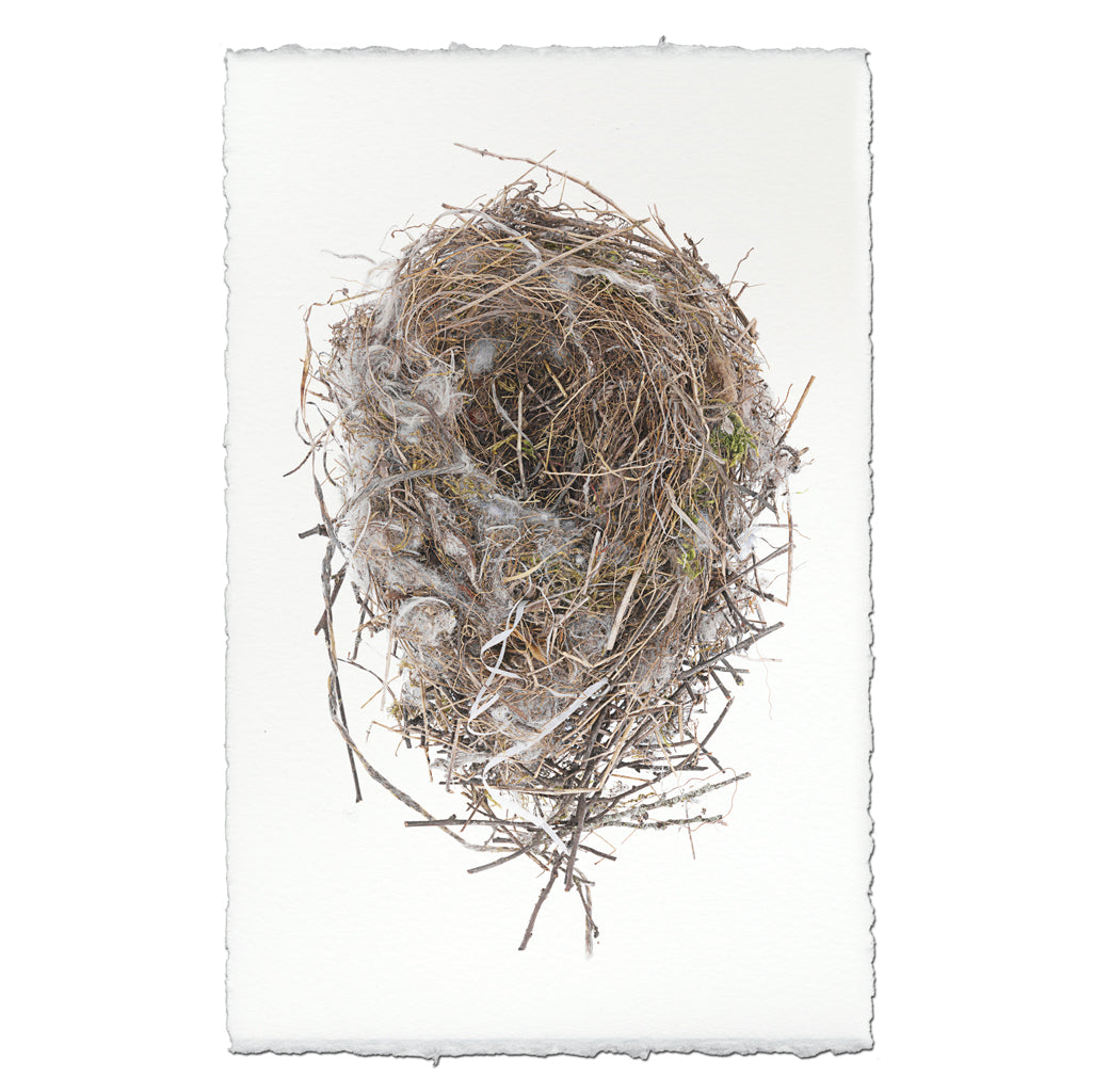 Cotton & Twine