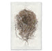 Cotton & Twine bird's nest wall art print — fine art avian photography on handmade paper, San Francisco