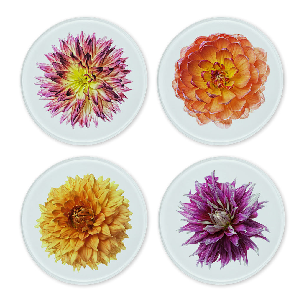 Glass Coasters (set of 4)