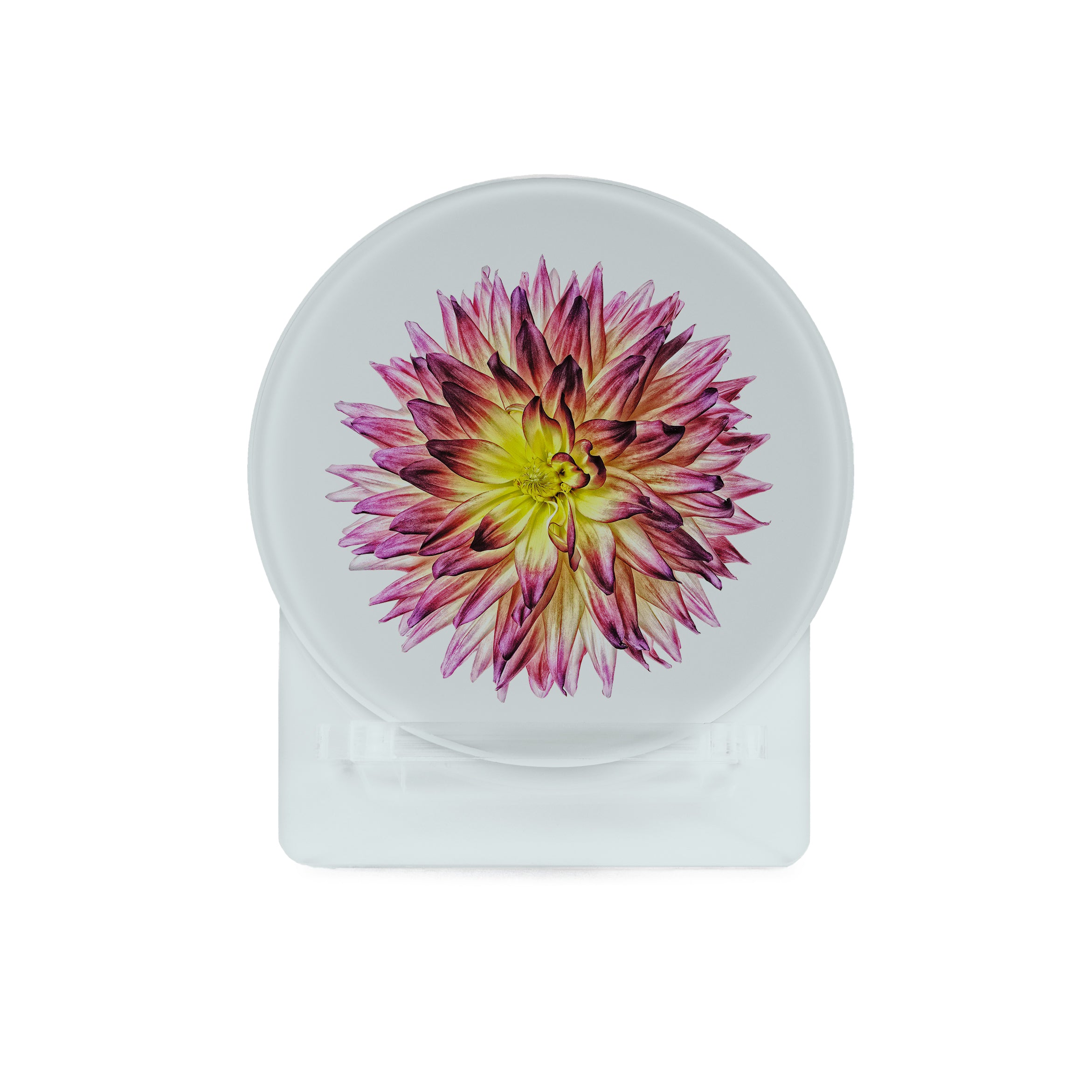 Glass Coasters (set of 4) - Dahlia