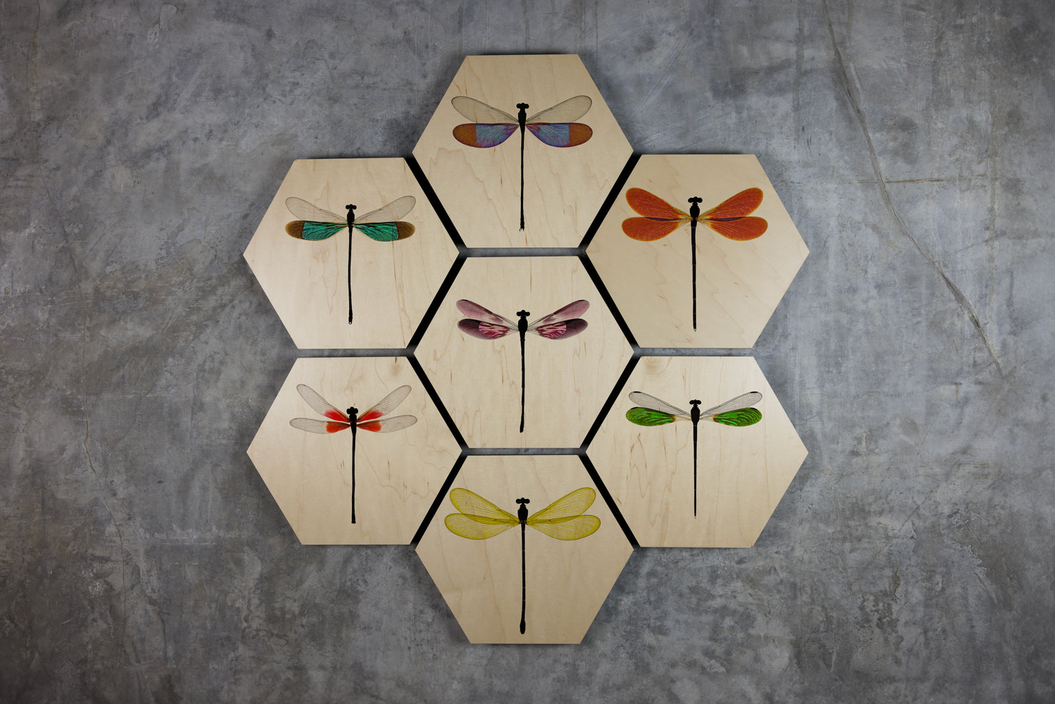 Geometrics - Damsels