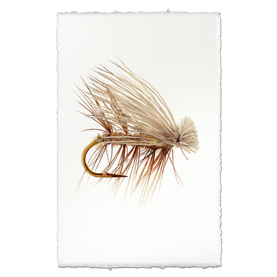 Elk Hair Caddis