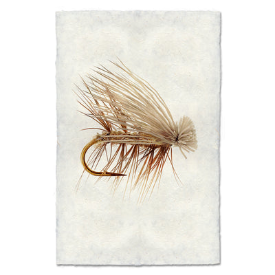 Elk Hair Caddis