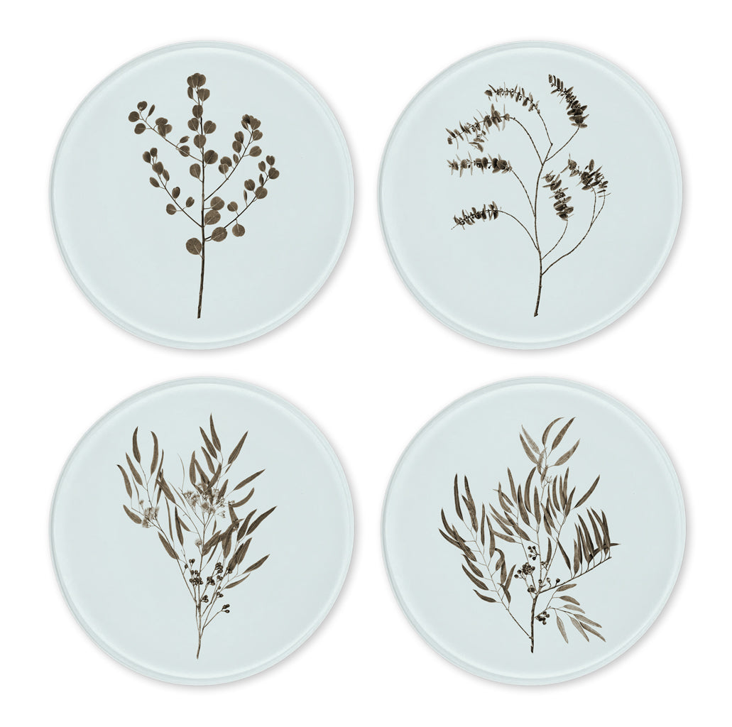 Glass Coasters (set of 4)