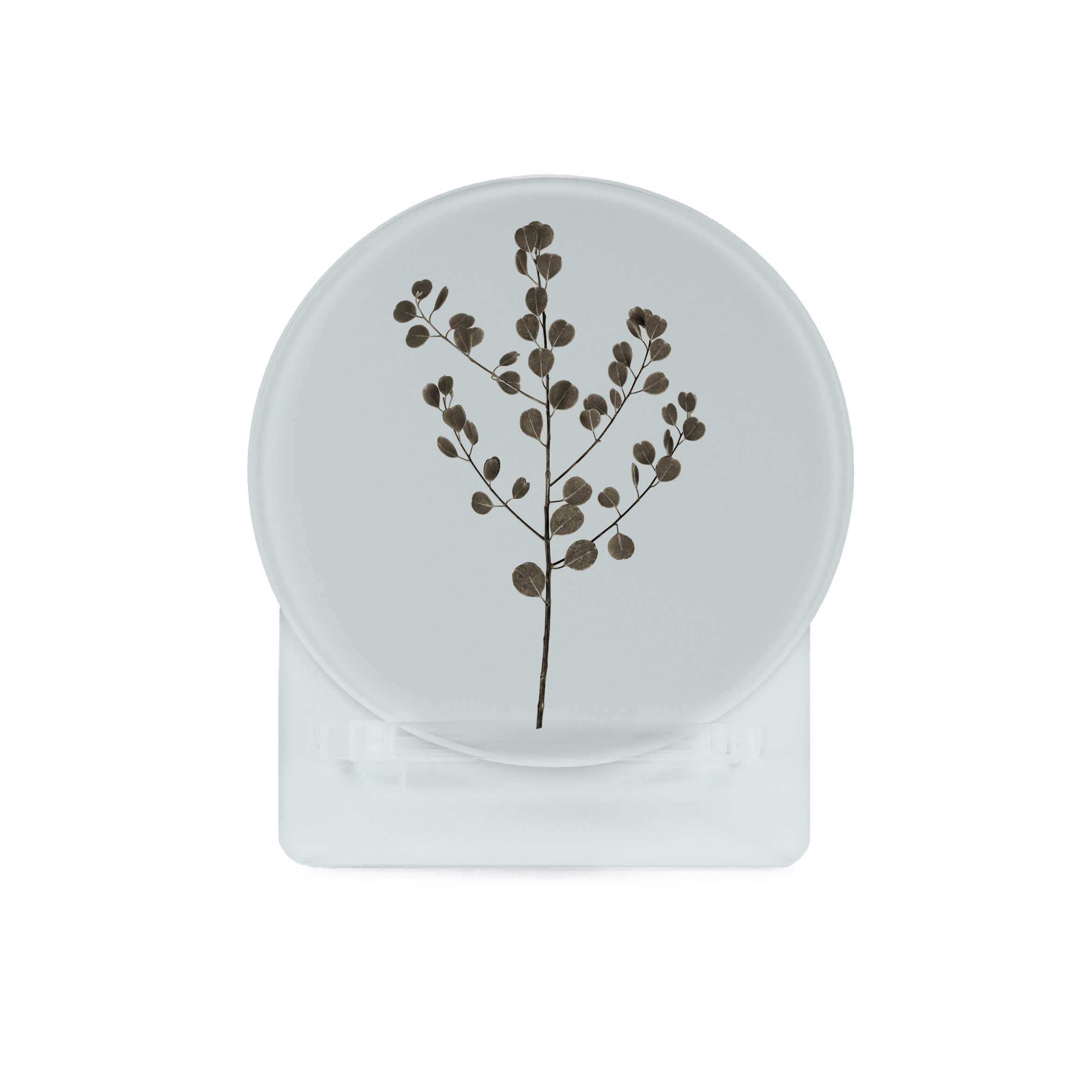 Glass Coasters (set of 4) - Eucalyptus