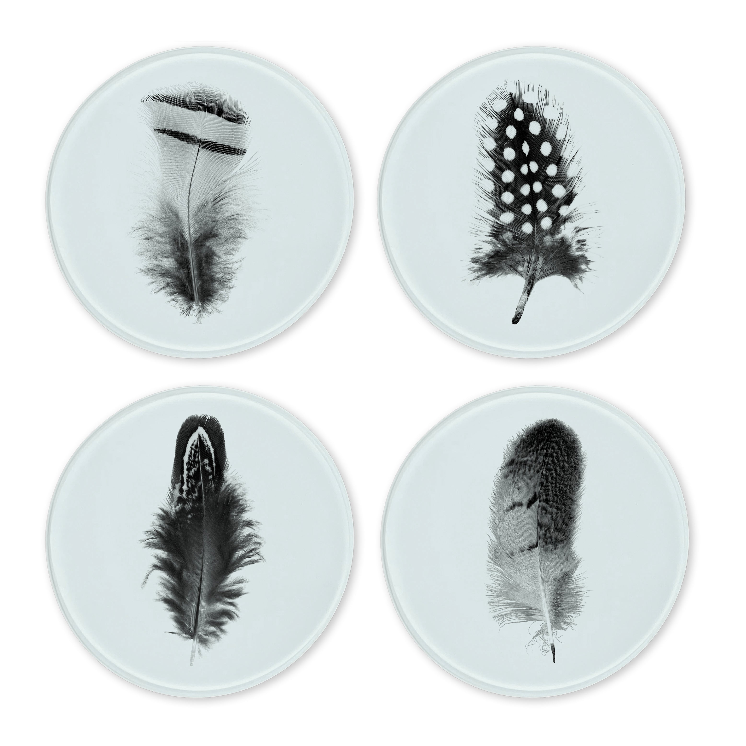 Glass Coasters (set of 4) - Feather