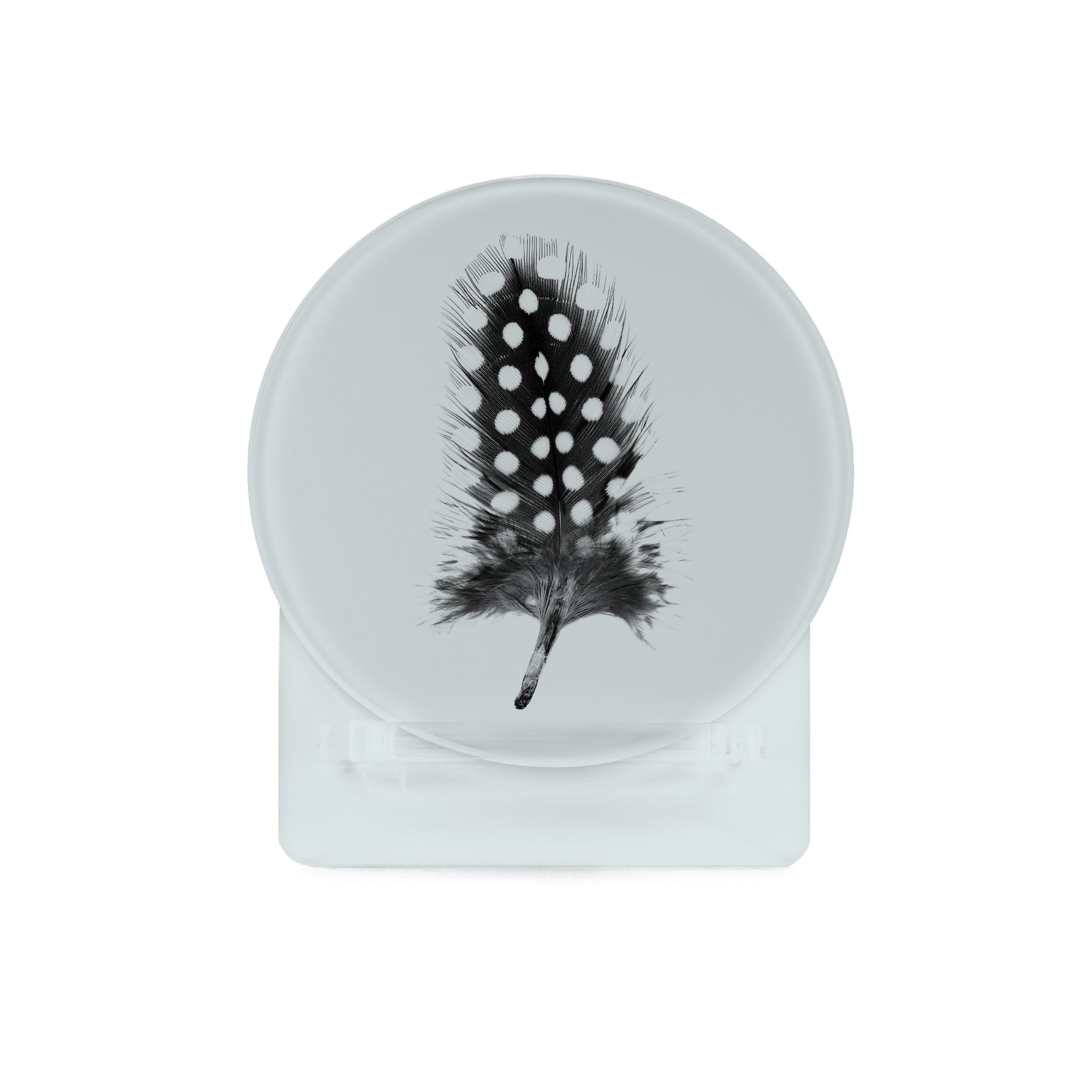 Glass Coasters (set of 4) - Feather