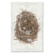 Feathered Nest bird's nest wall art print — fine art avian photography on handmade paper, San Francisco