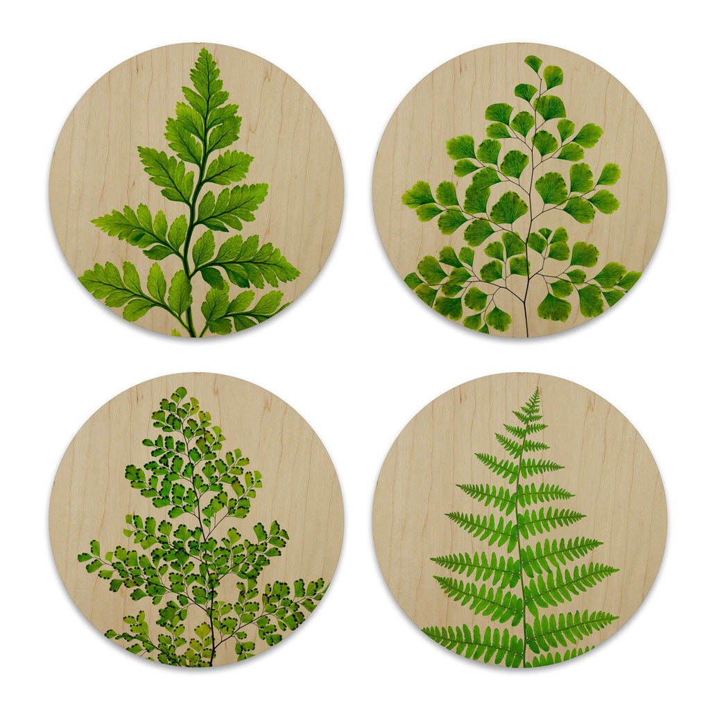 Wood Coasters (set of 4)