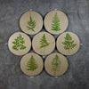 Geometrics - Ferns