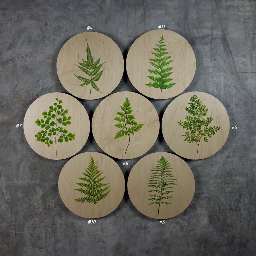 Geometrics - Ferns