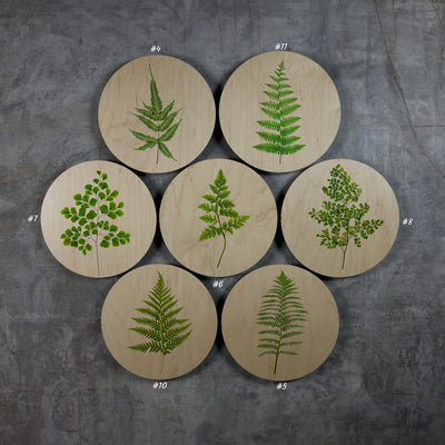 Geometrics - Ferns
