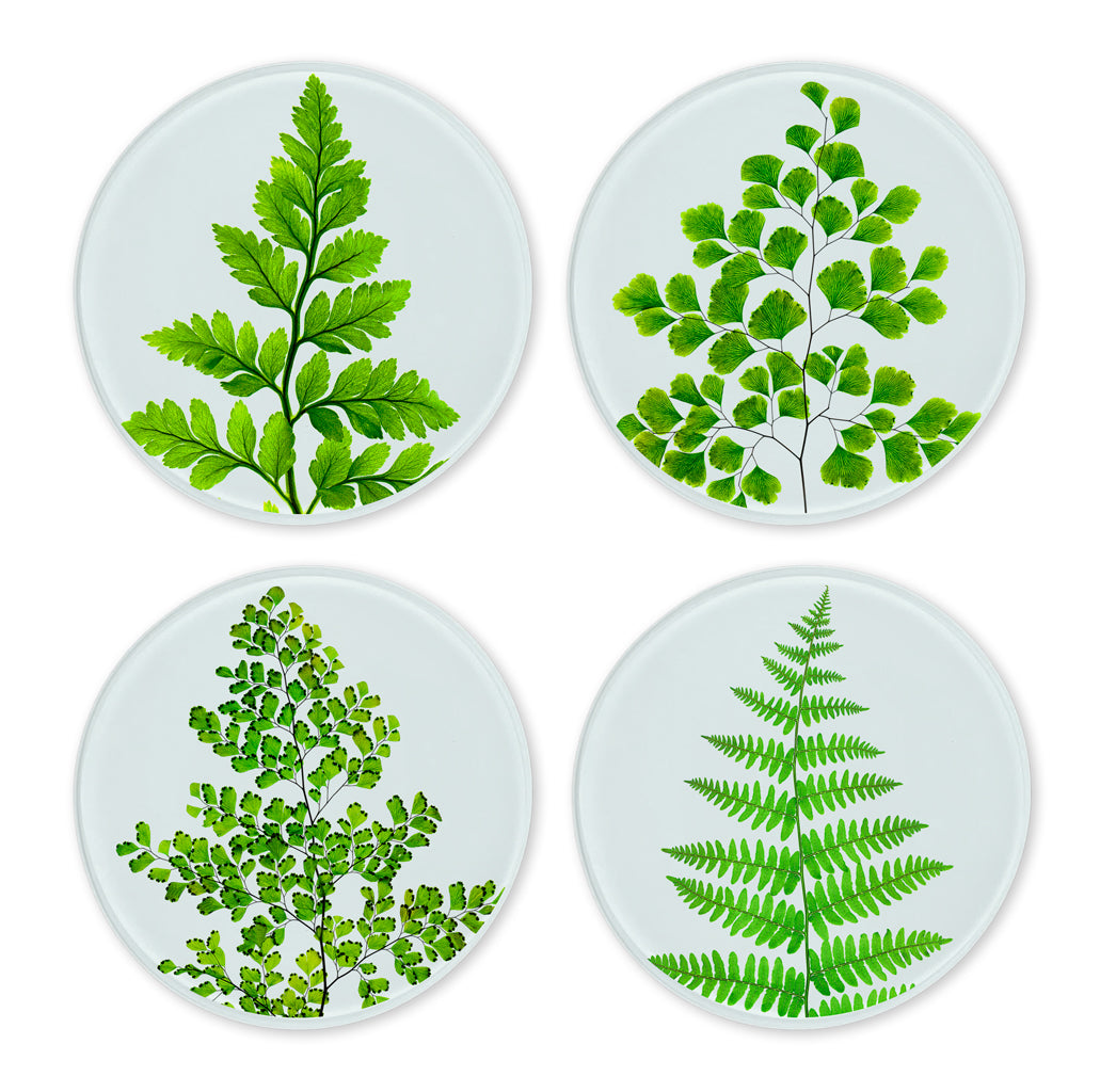 Glass Coasters (set of 4)