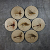 Geometrics - Fishing Flies