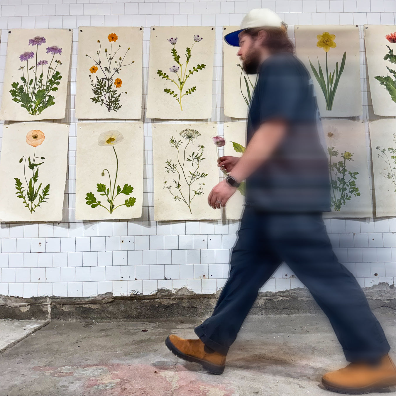 Barloga Welcome To Barloga Studios — BARLOGA STUDIOS- fine photographs on ...