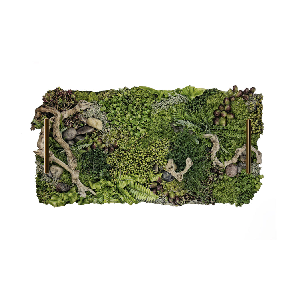 Forest Floor