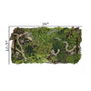 Forest Floor