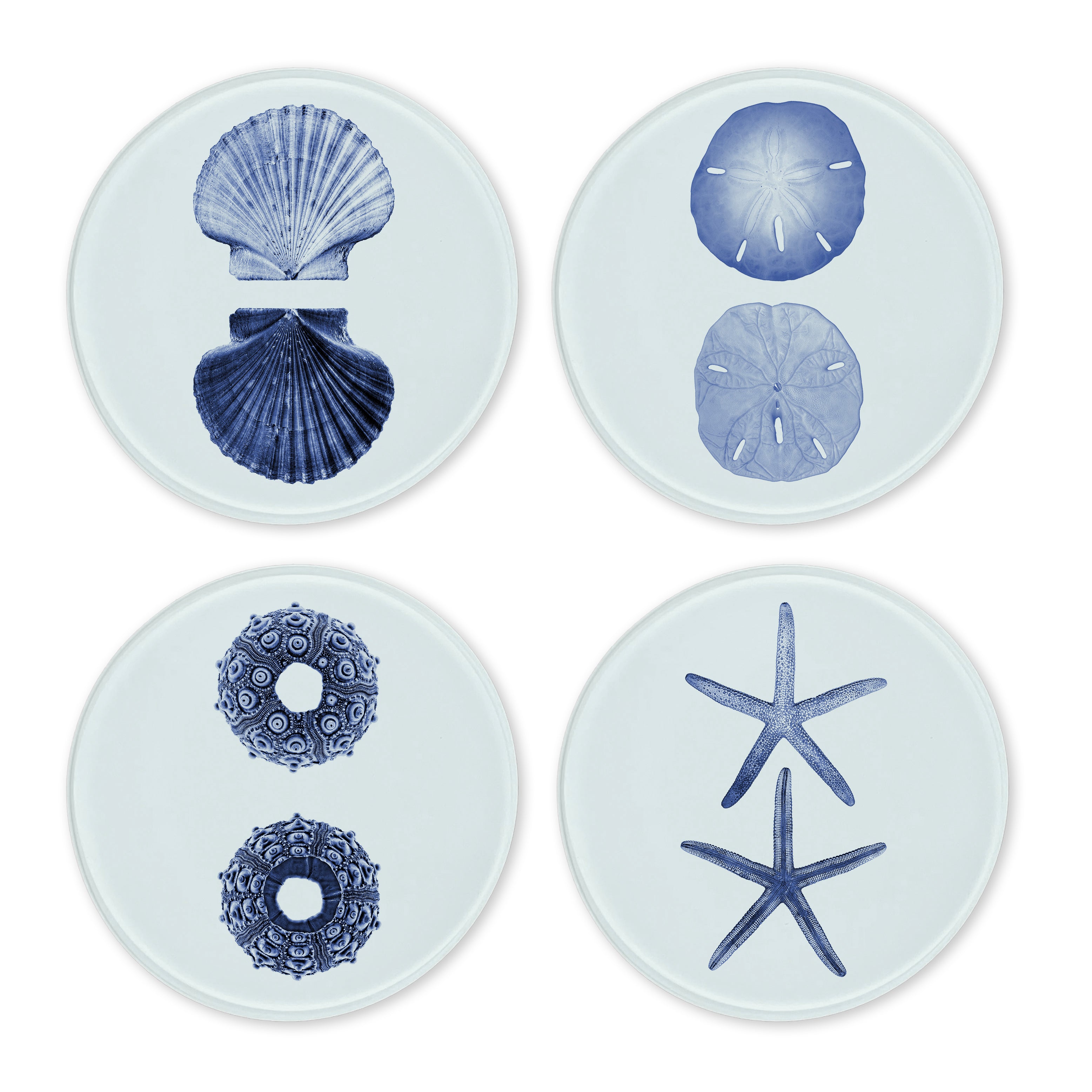 Glass Coasters (set of 4) - From The Sea