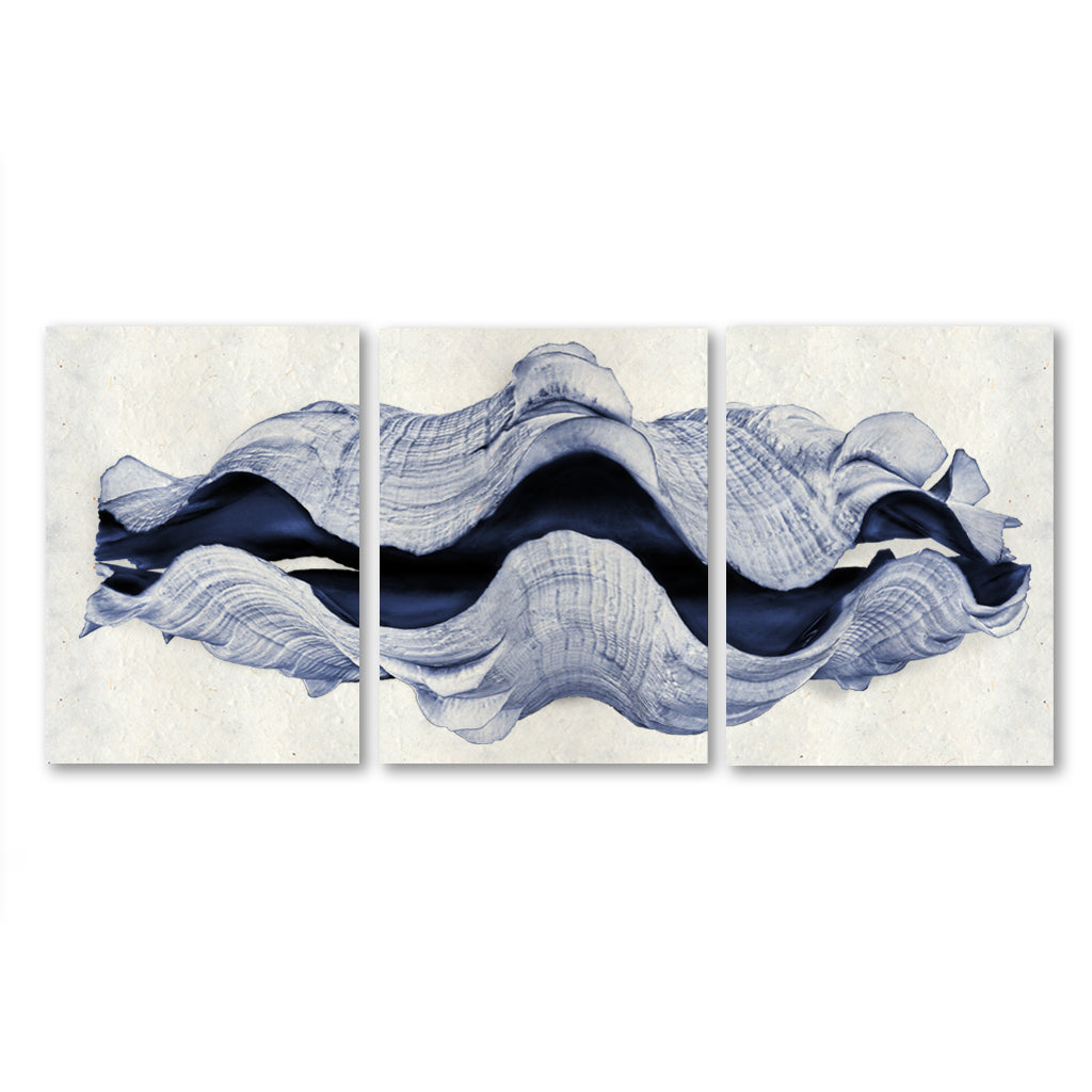 Giant Clam Trilogy