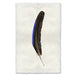 Guinea Fowl colored feather wall art print — fine art feather photography on handmade paper, San Francisco