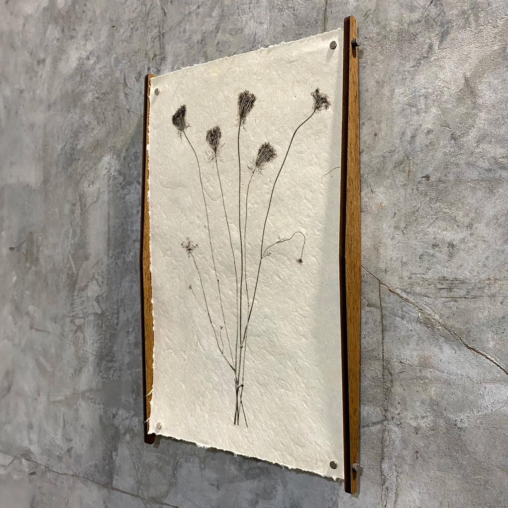 Hanging Accessories — BARLOGA STUDIOS- fine photographs on intriguing ...