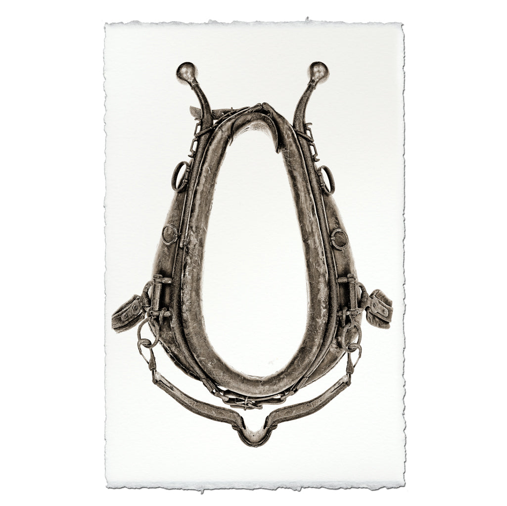 Horse Collar