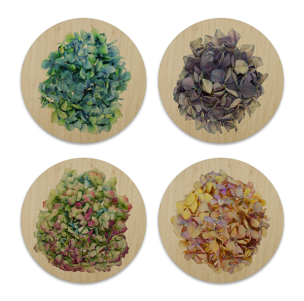 Wood Coasters (set of 4)