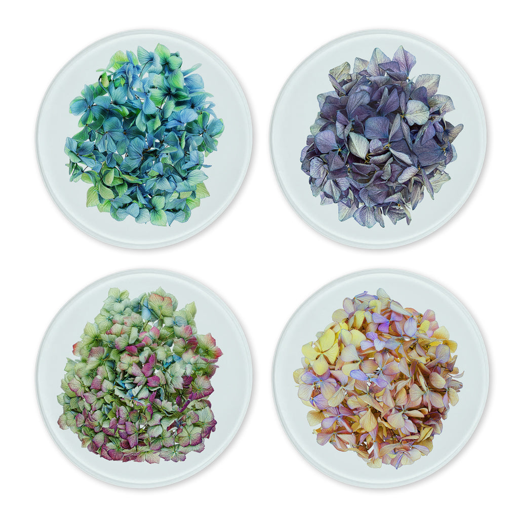 Glass Coasters (set of 4)