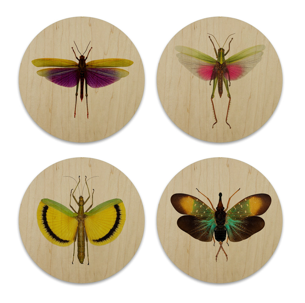 Wood Coasters (set of 4)