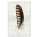 Kestrel #2 colored feather wall art print — fine art feather photography on handmade paper, San Francisco