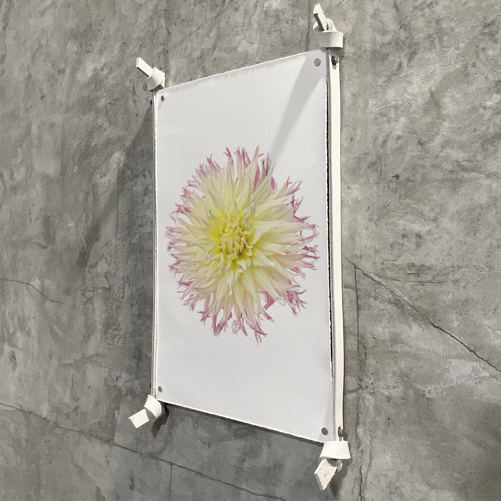 Frameless leather and steel hangers