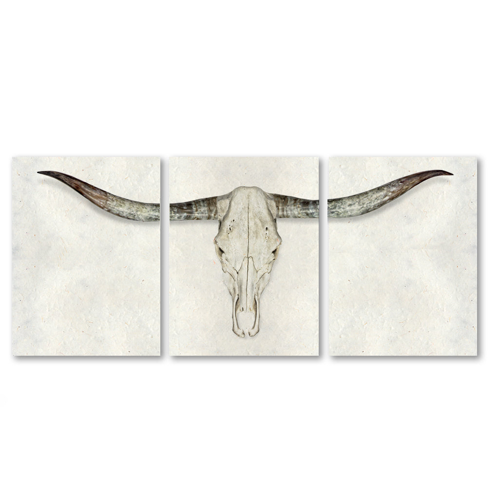 Longhorn Triptych