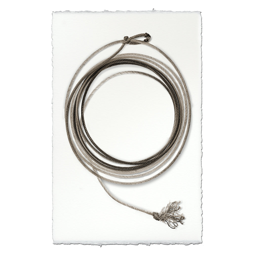 Lasso