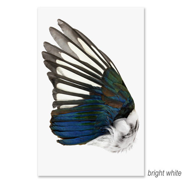 Magpie Wing (left) grand format - BARLOGA STUDIOS- fine photographs on ...