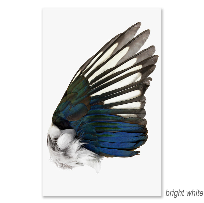 Magpie Wing (right) grand format - BARLOGA STUDIOS- fine photographs on ...