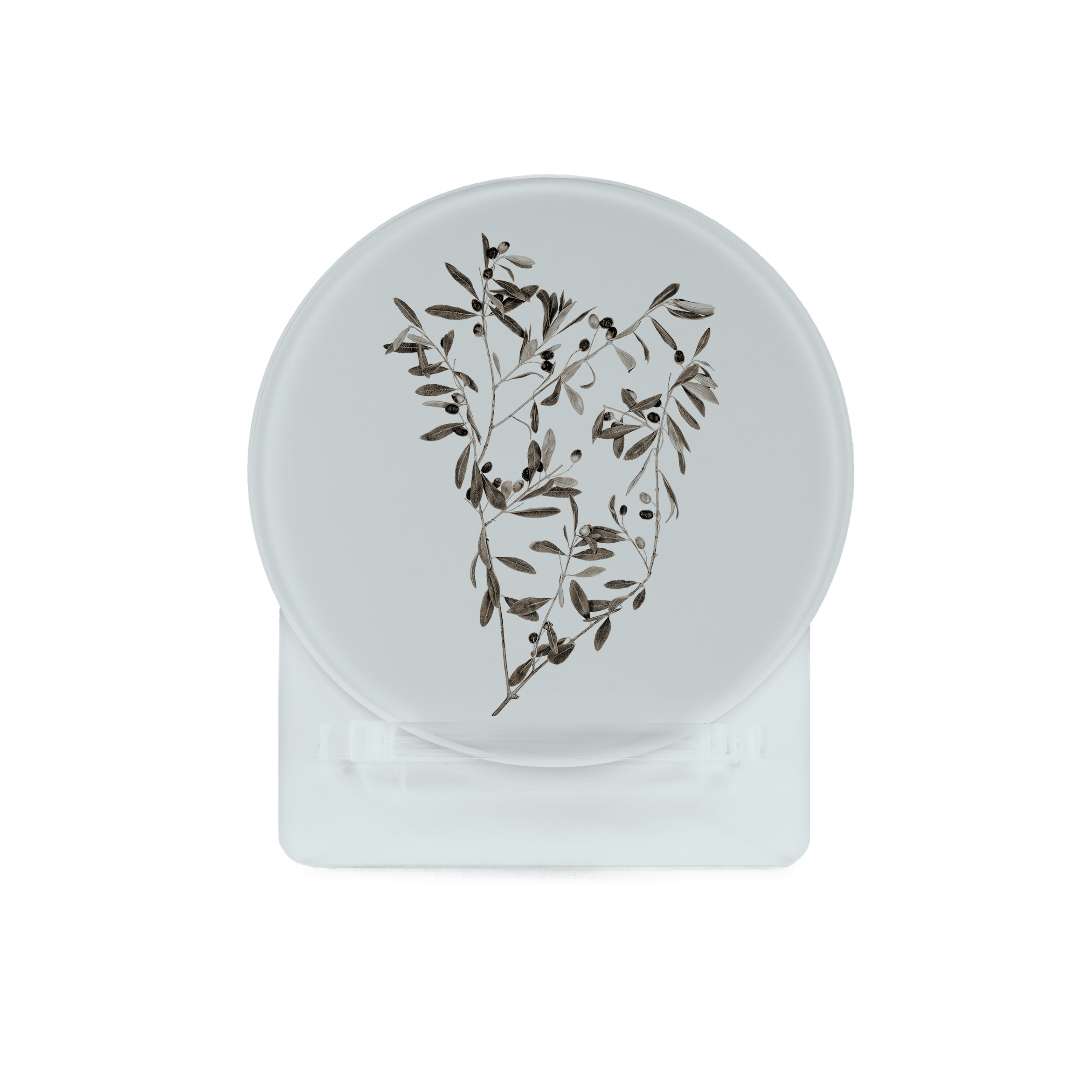 Glass Coasters (set of 4) - Natural Forms