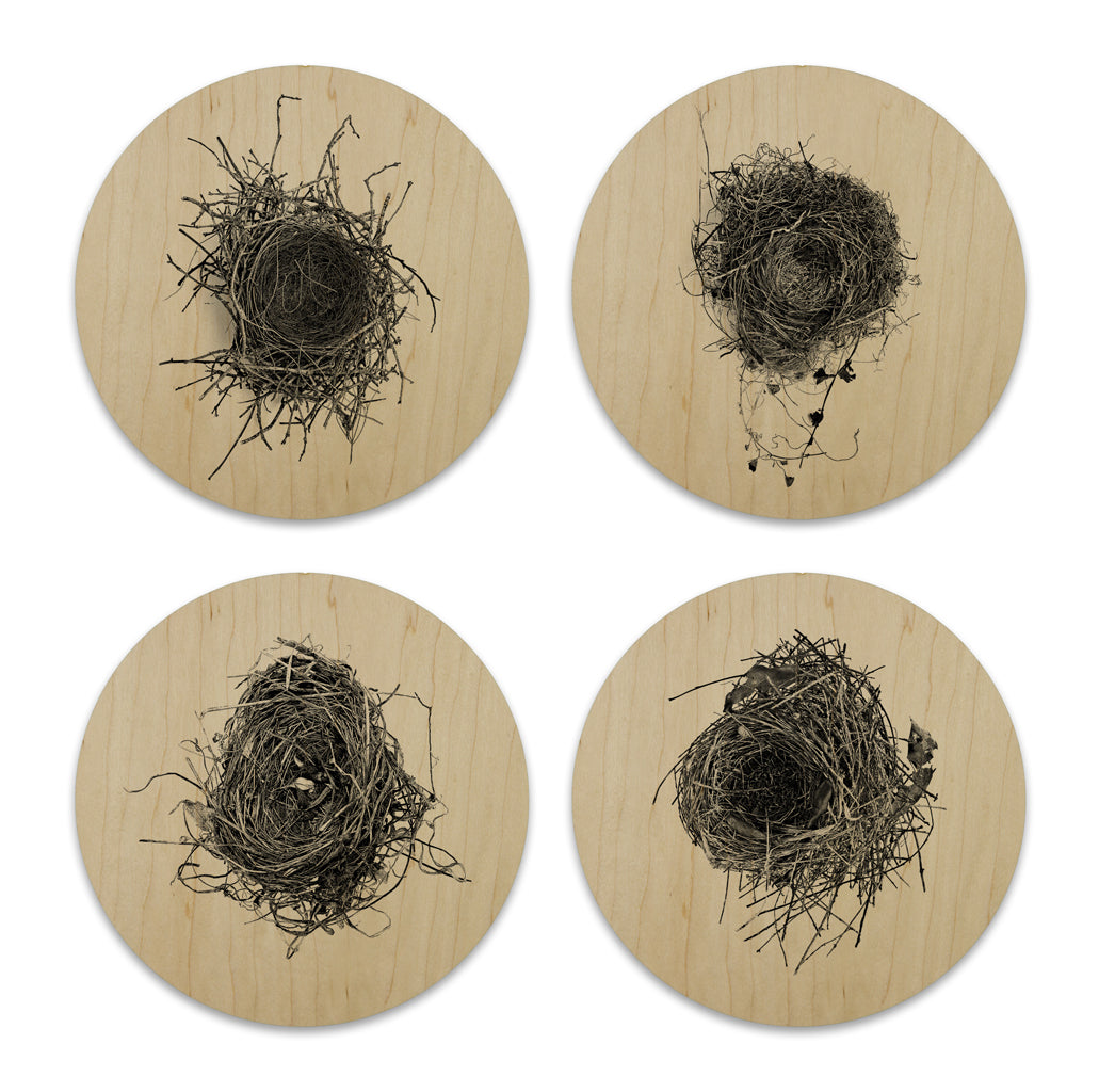 Wood Coasters (set of 4)