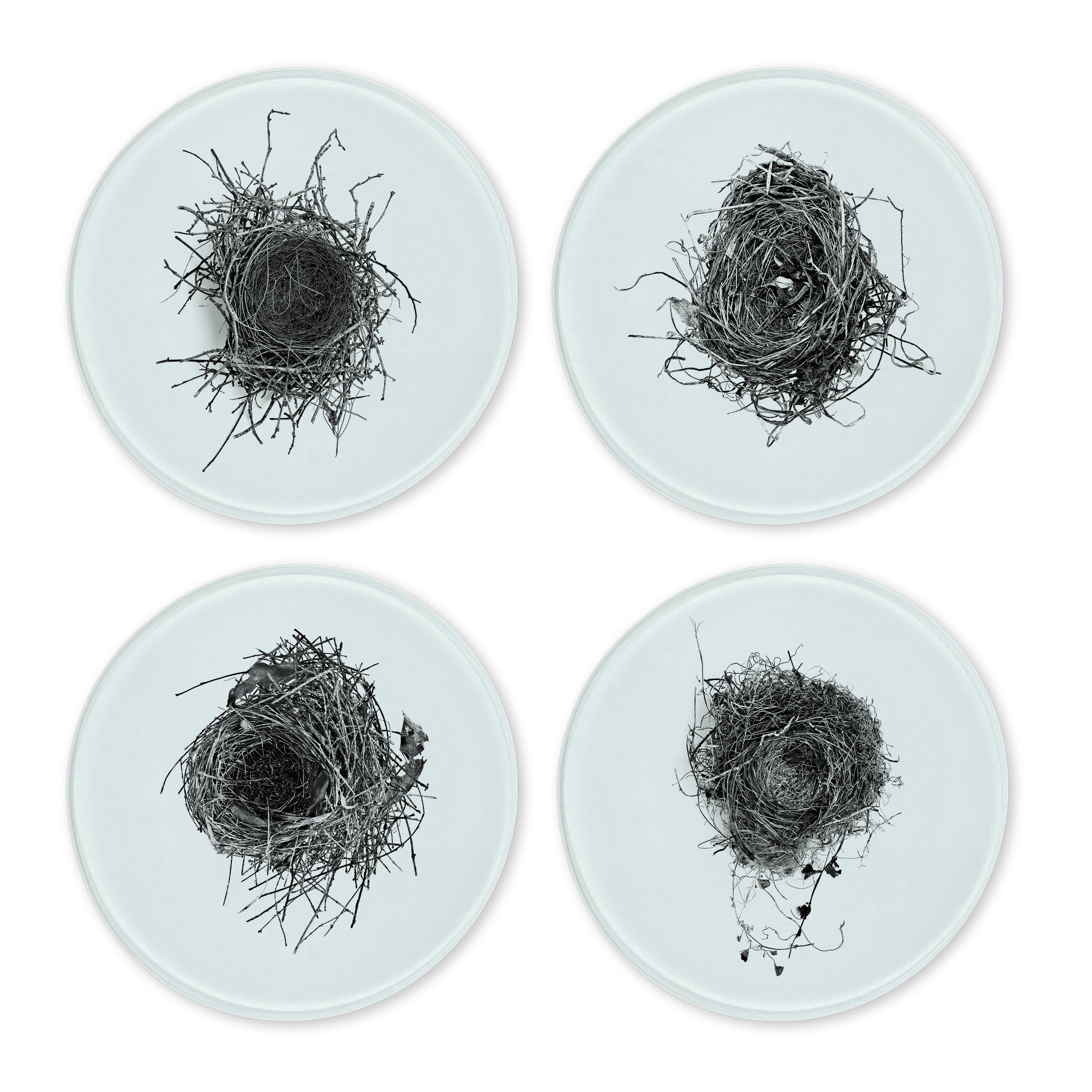 Glass Coasters (set of 4) - Nest