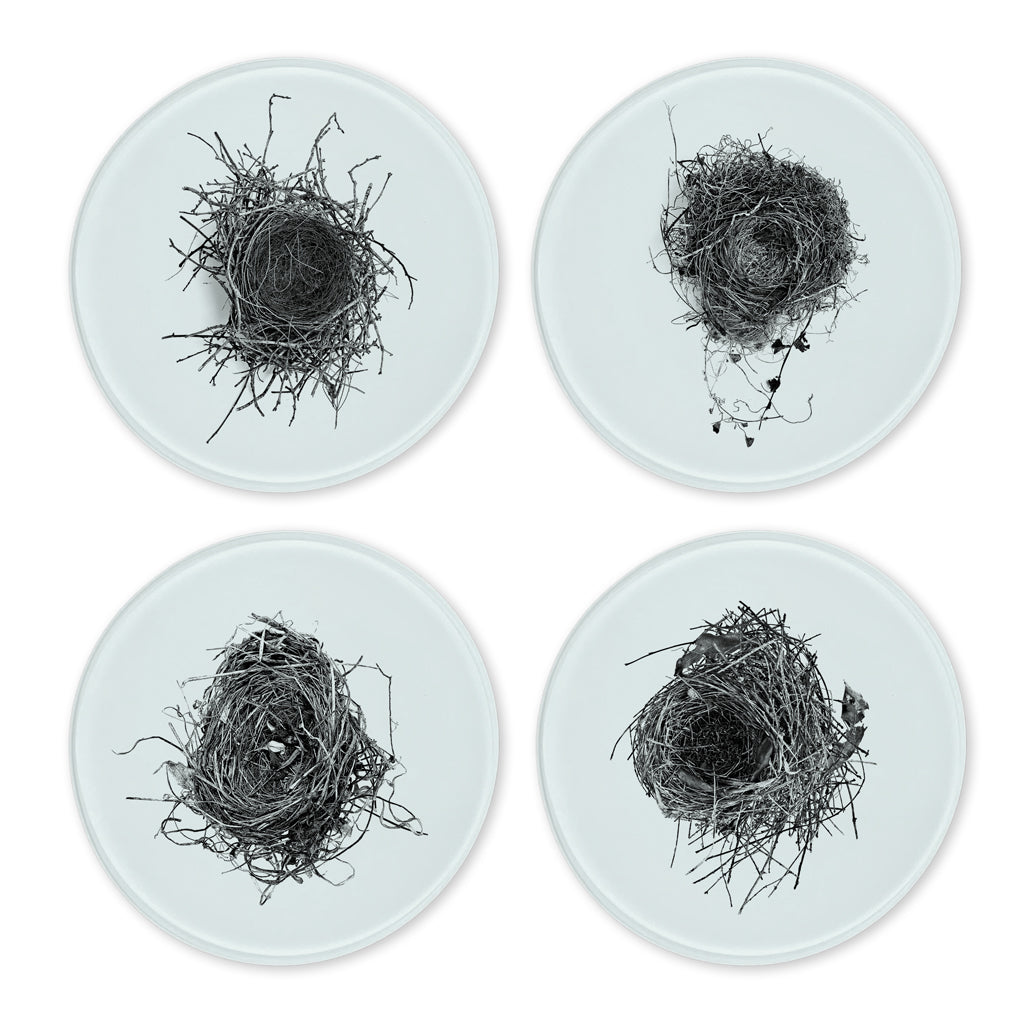 Glass Coasters (set of 4)