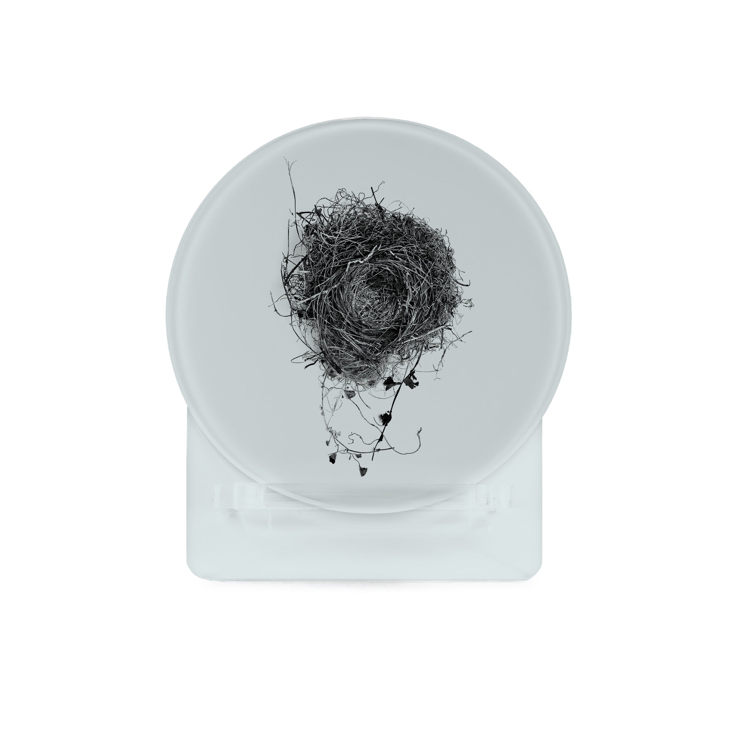 Glass Coasters (set of 4) - Nest