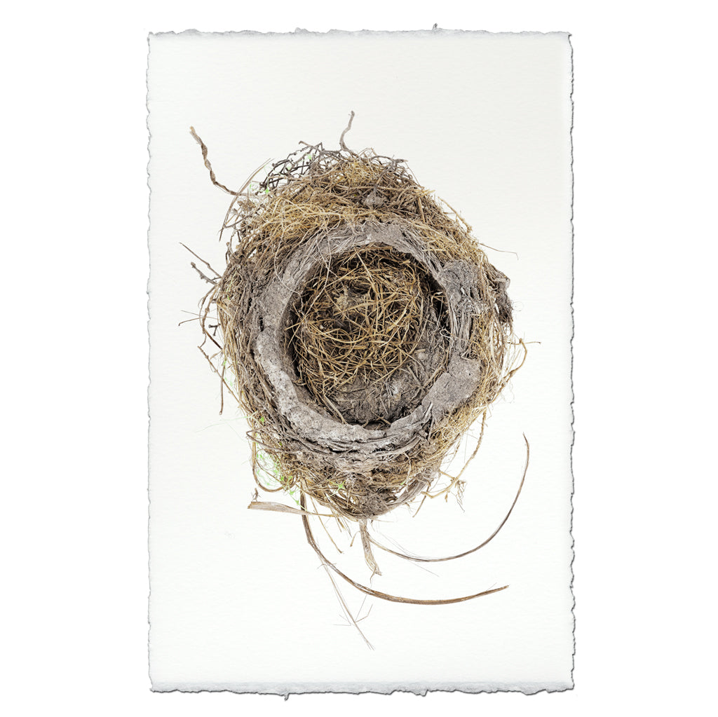 Robin's Nest