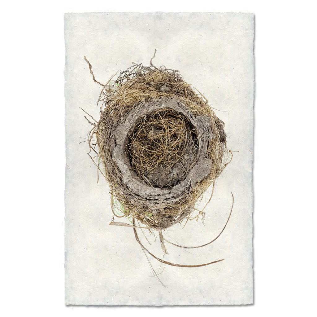 Robin's Nest
